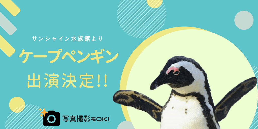 booth_ペンギン_サンシャイン水族館