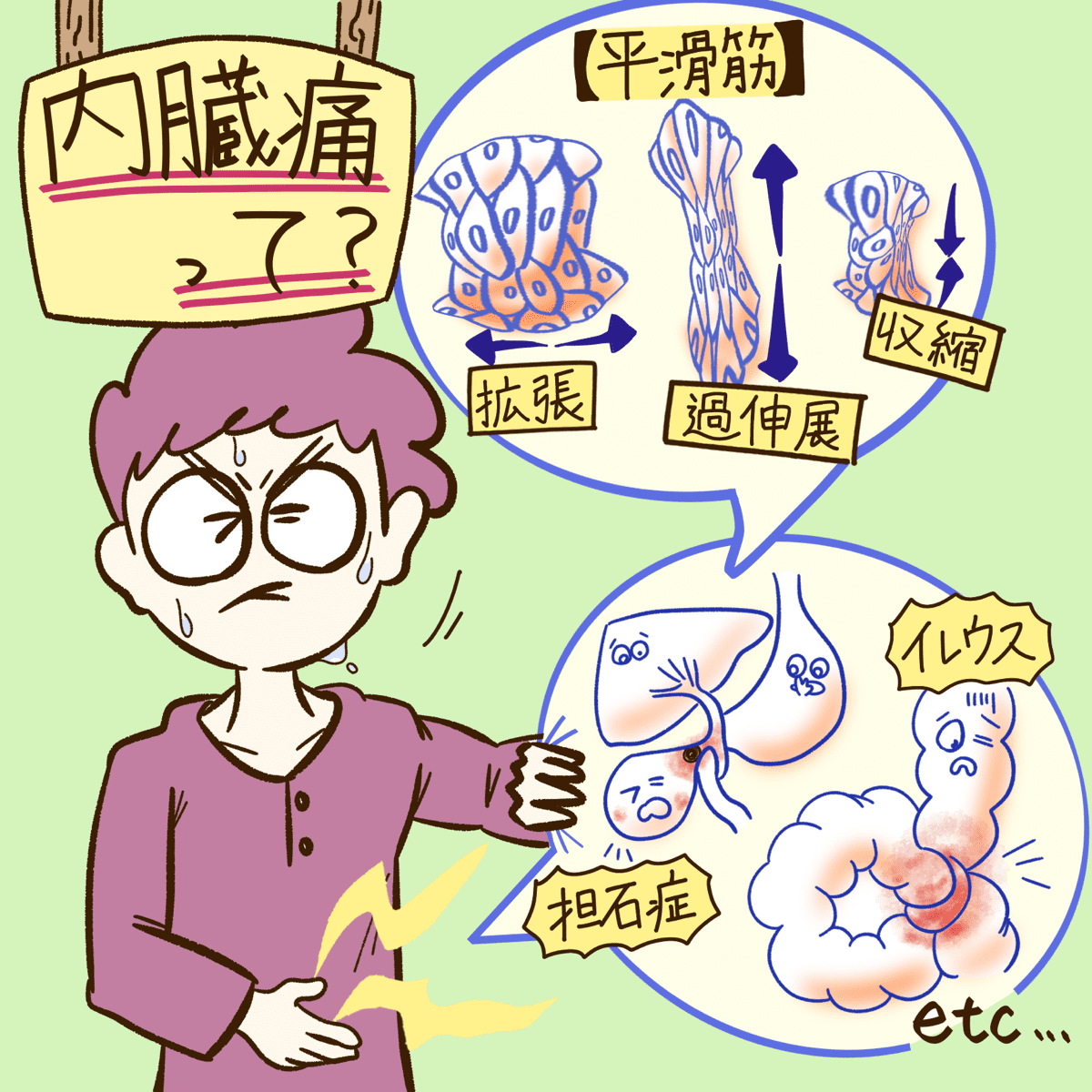 内臓の位置痛み – 内臓痛 痛みの部位 – OHZXC
