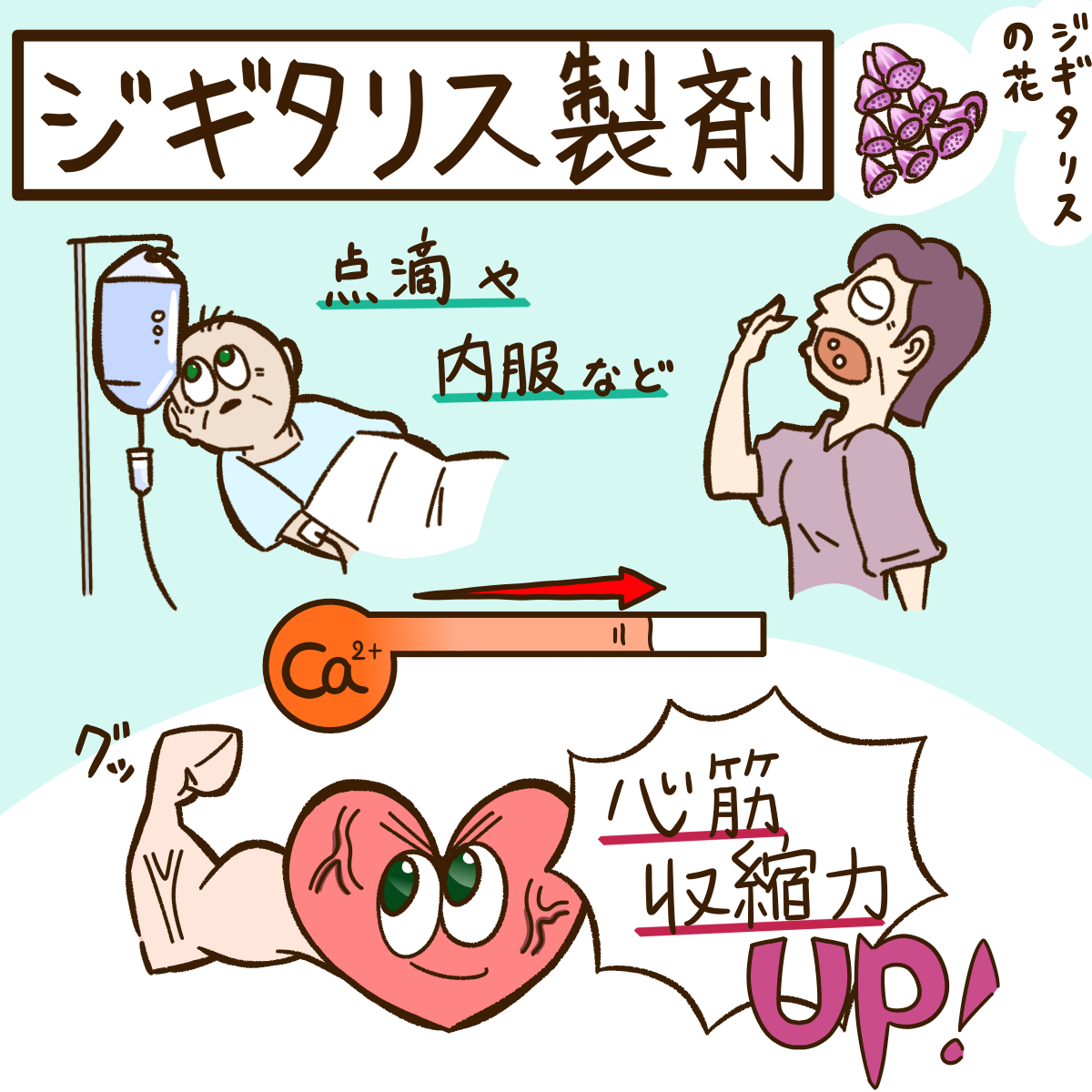 ジギタリス 副作用