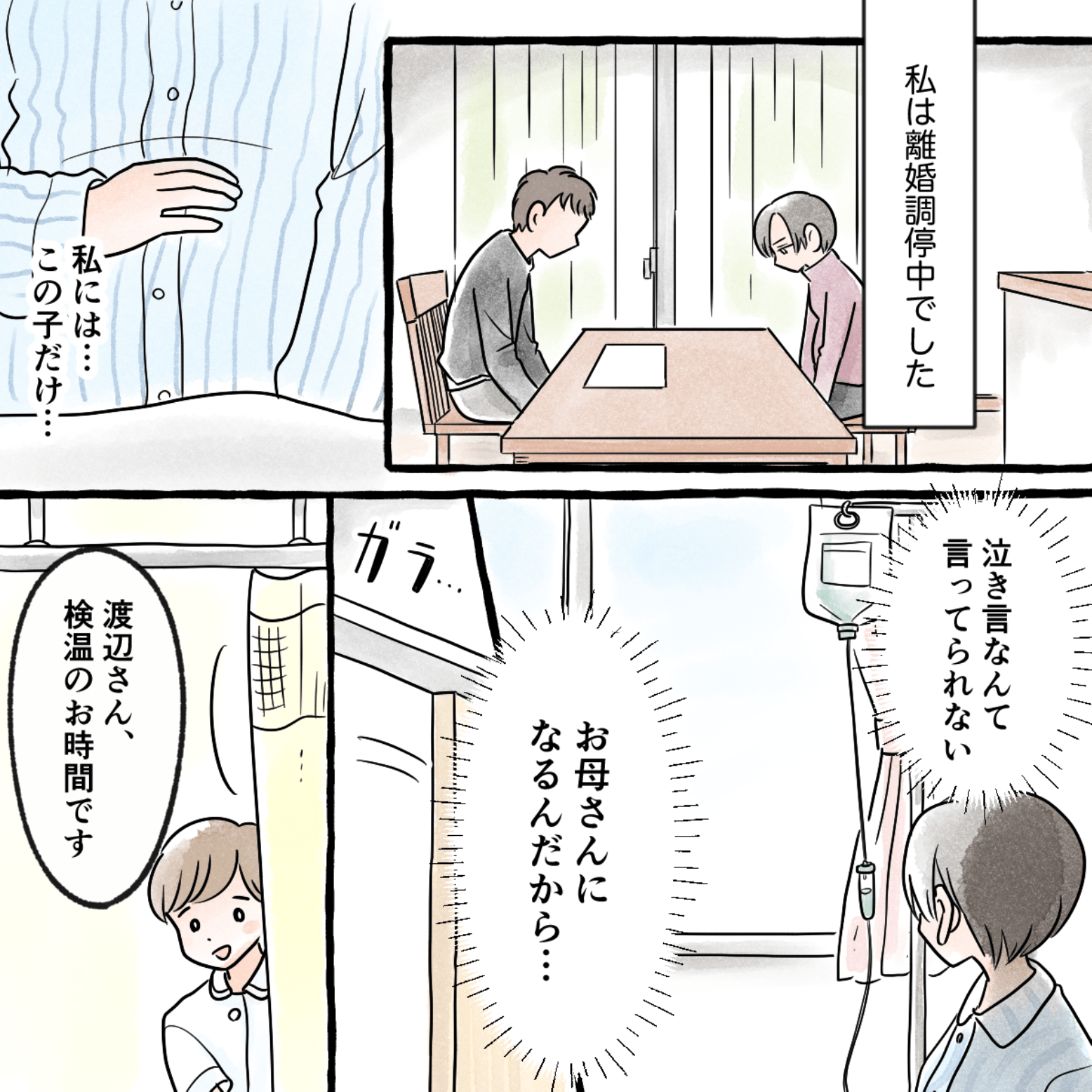 離婚調停中で妊娠している私は、母親になるんだからと何とか気持ちを強く持とうと思っていた