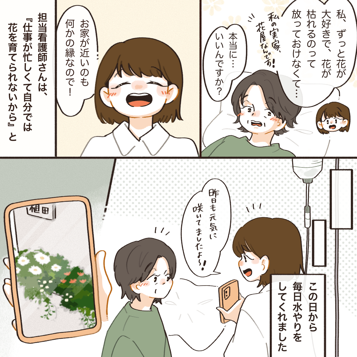 看護師は是非自分に水やりをさせてほしいと懇願し、毎日水やりをしてくれた
