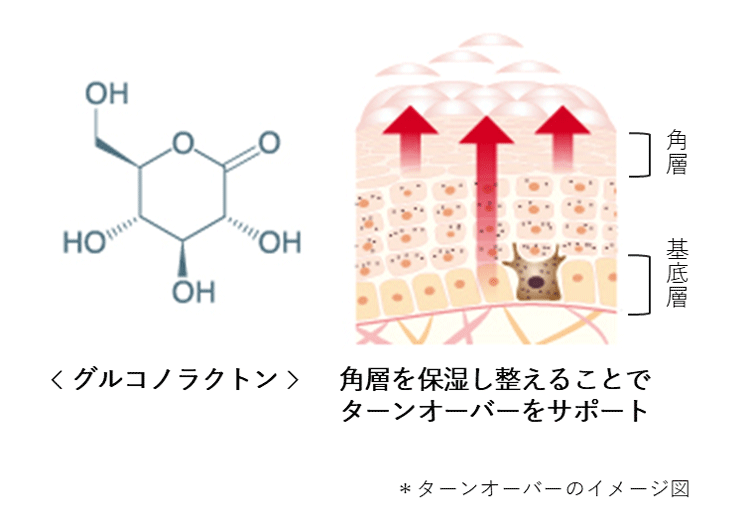 グルコノラクトンの効果