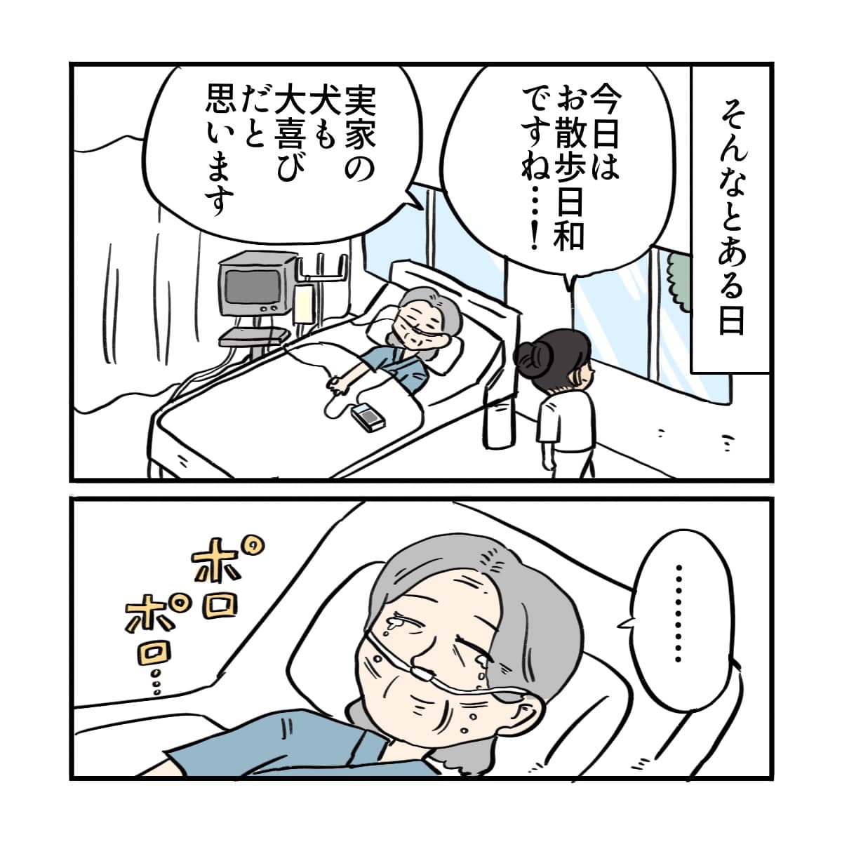 ある日、外が晴れていることを伝えると、患者は犬の話をして涙した