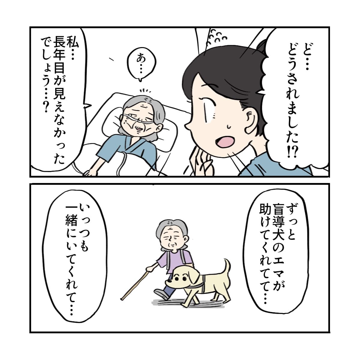 患者はいままで目が見えなかったため盲導犬と暮らしていたことを話してくれた