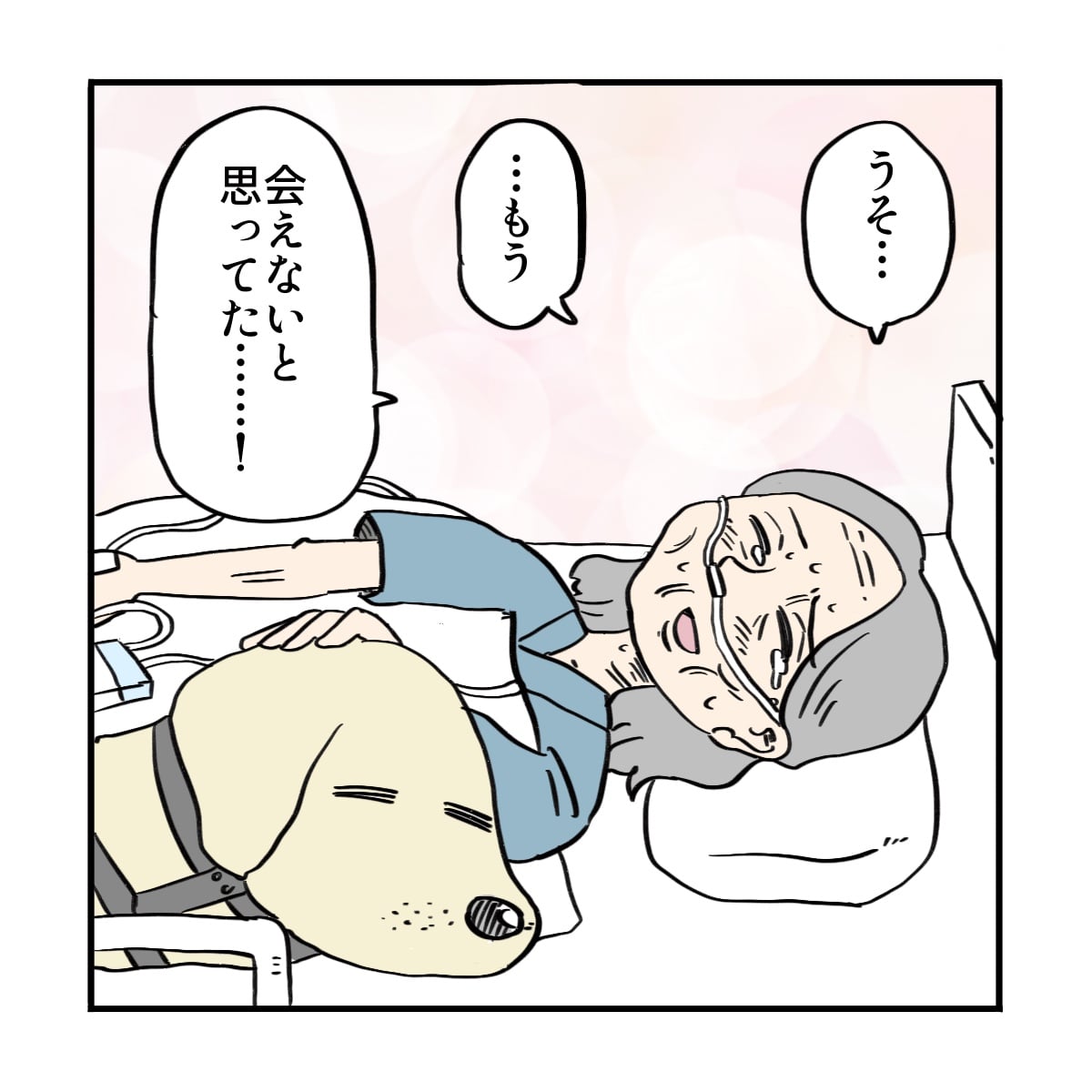患者は喜び涙しながら盲導犬を可愛がった