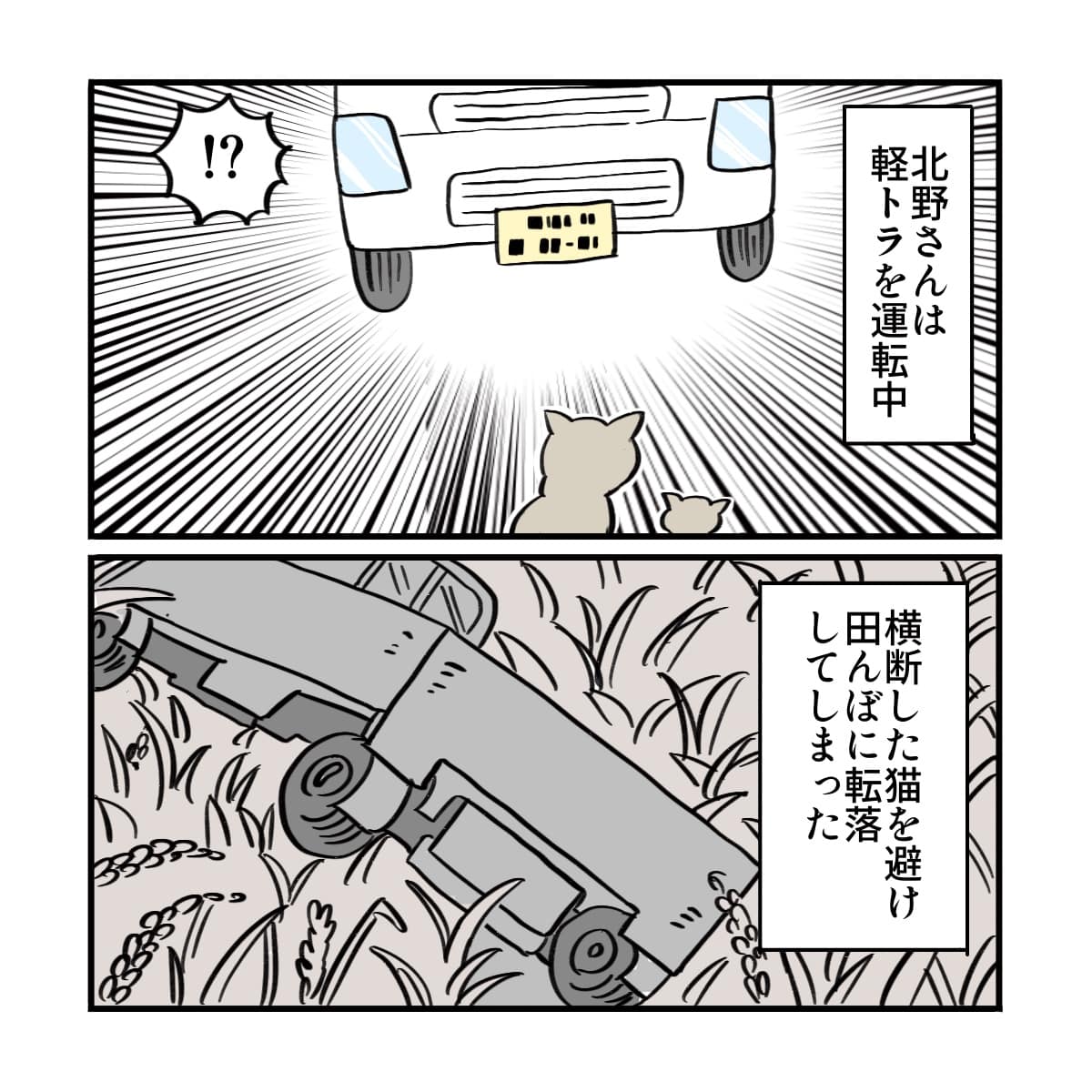 その患者は軽トラを運転中に猫を避けて車が横転し事故にあった