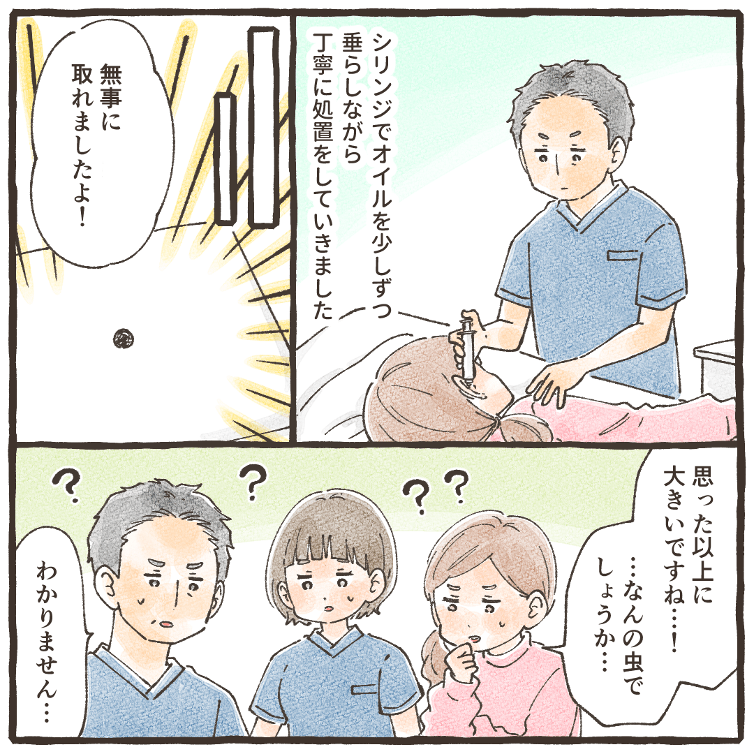 医師がシリンジで少しずつオイルを入れ丁寧に処置すると虫が除去できた