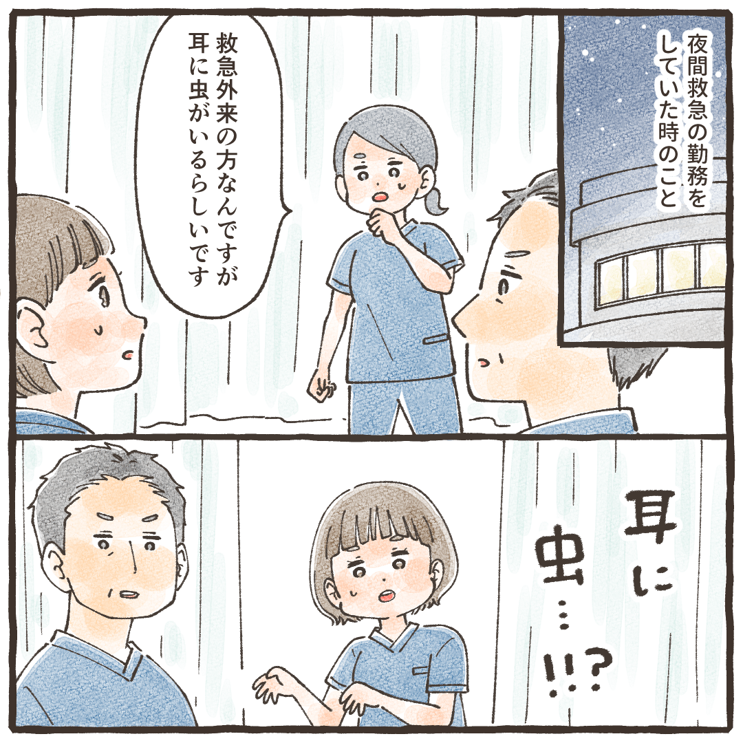 夜間救急で働いていた時、耳の中に虫がいるという患者さんが来院した