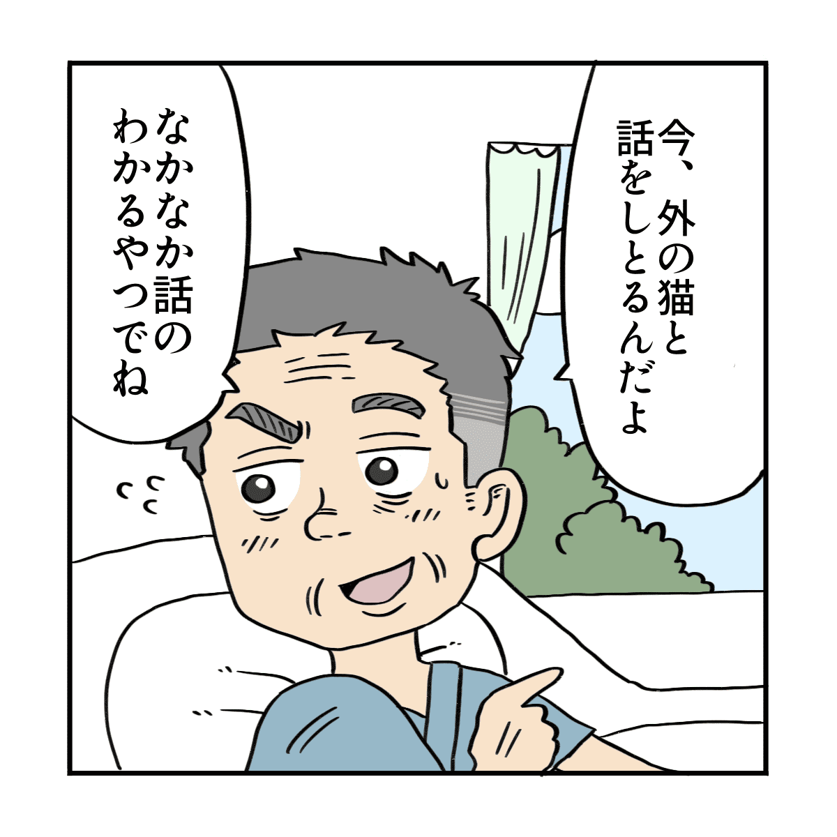 患者は外の猫と会話していると話した
